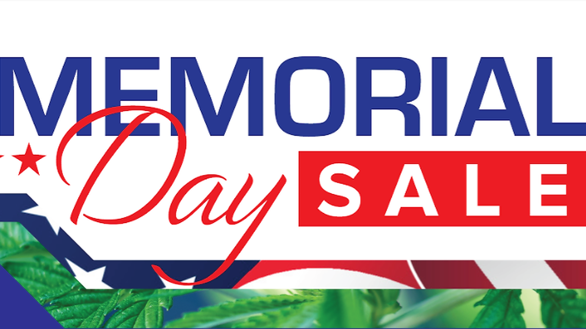 Memorial Day Sale: BOGO iLAVA ClearGold 500mg!